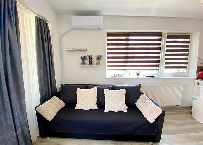 Relaxing Coresi Studio